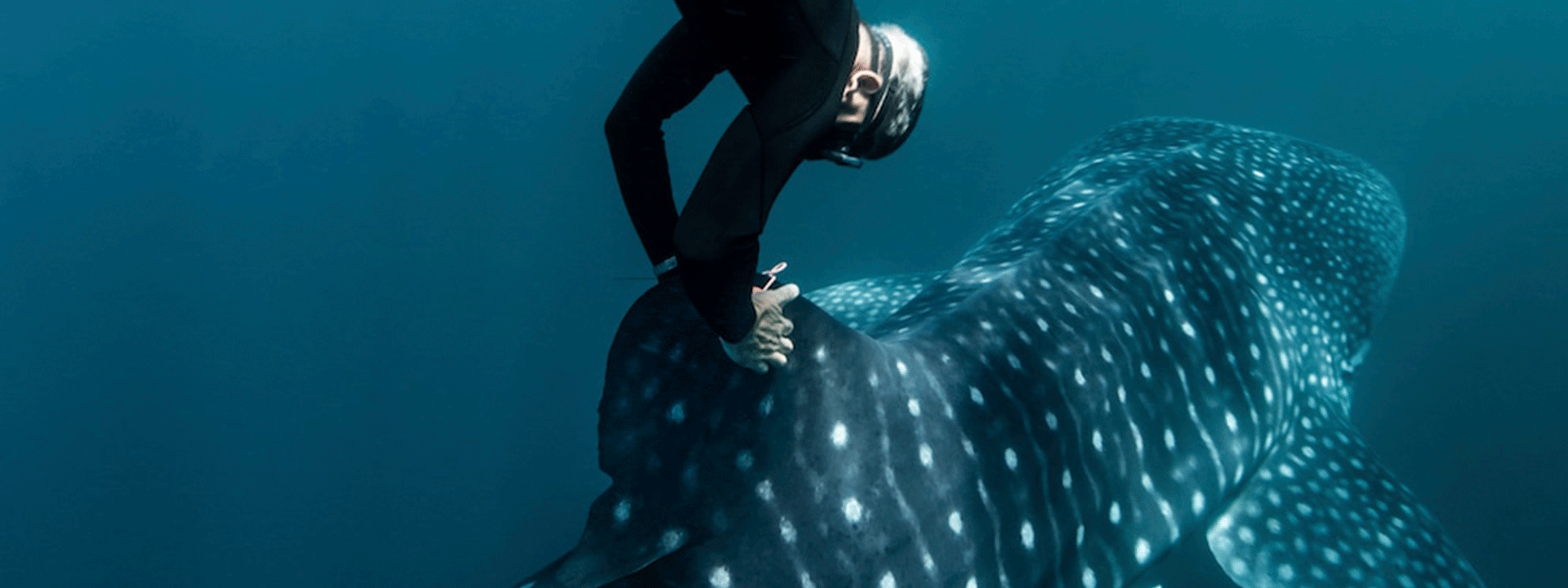 Leia mais sobre o artigo Rolex lança documentário com renomada oceanógrafa Sylvia Earle sobre iniciativas e indivíduos que estão ajudando a salvar os oceanos