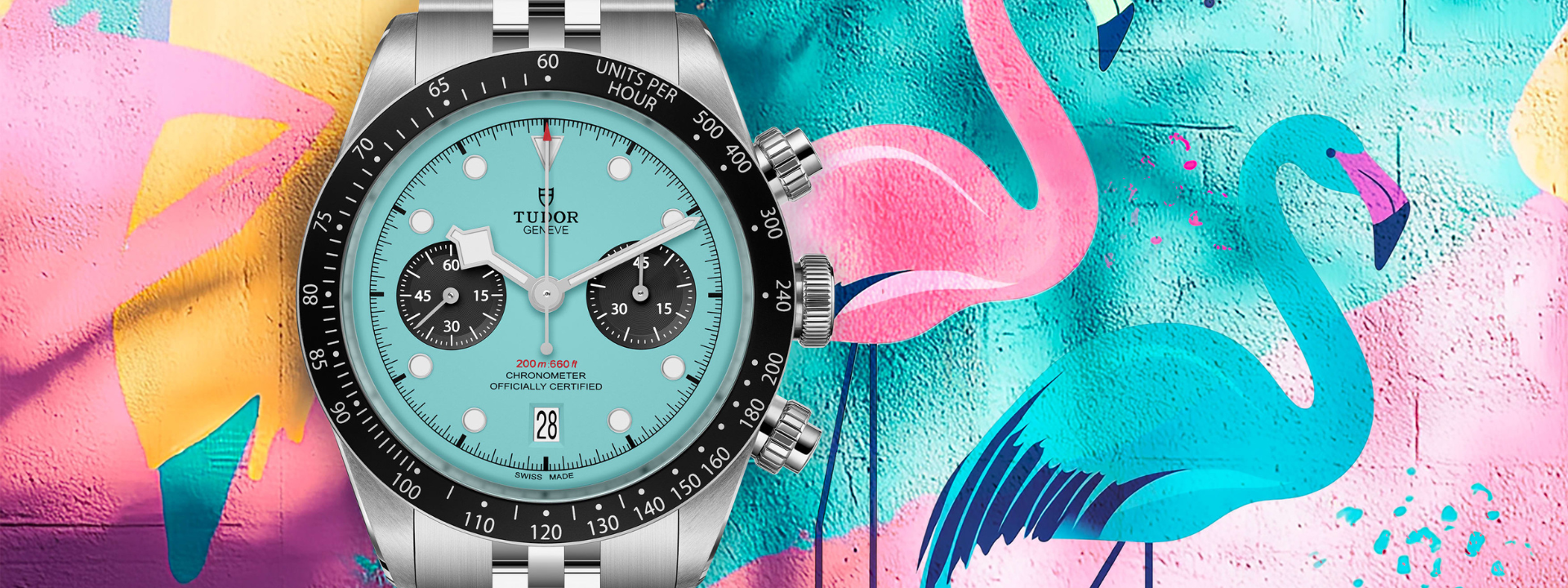 Leia mais sobre o artigo BLACK BAY CHRONO “FLAMINGO BLUE”: UMA ESCOLHA ARROJADA E VIBRANTE